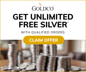 Unlimited-Free-Silver-Banner-Ad-2-300x250-px-1